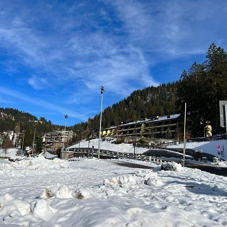 Apartament Mansarda Tra Le Dolomiti Di Brenta Bocenago Zewnętrze zdjęcie